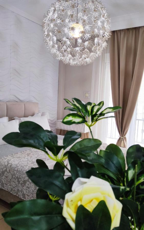 Boutique Lux Appartement *