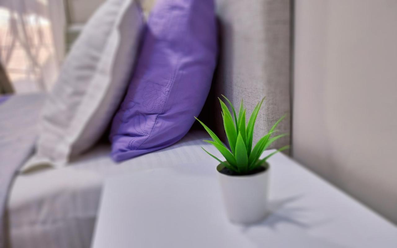 Appartement Boutique Lux